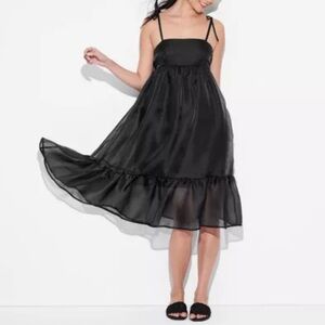 Wild Fable Black Organza Midi Babydoll Dress